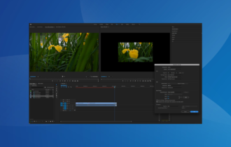 best software to slow down music