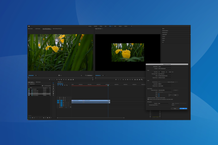 best software to slow down music
