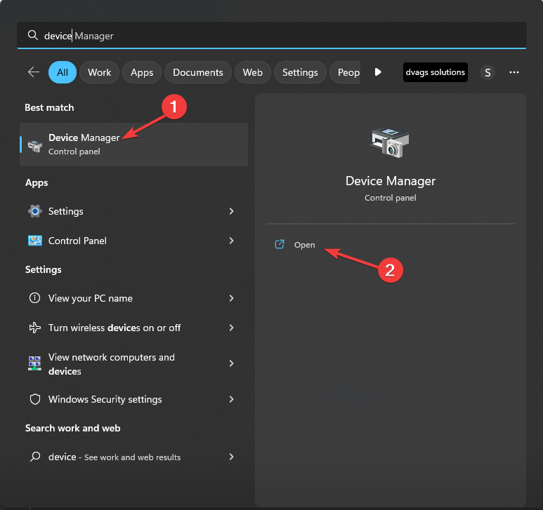 Device Manager Startup