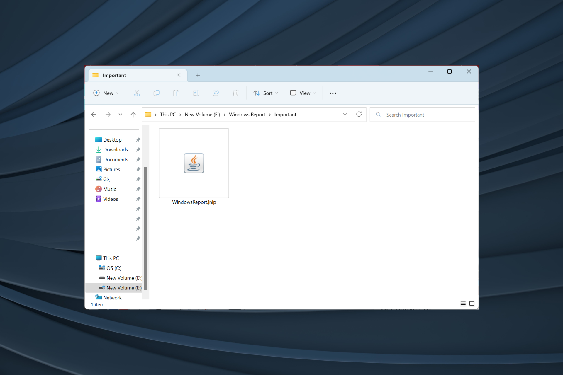 fix JNLP file not opening in Windows
