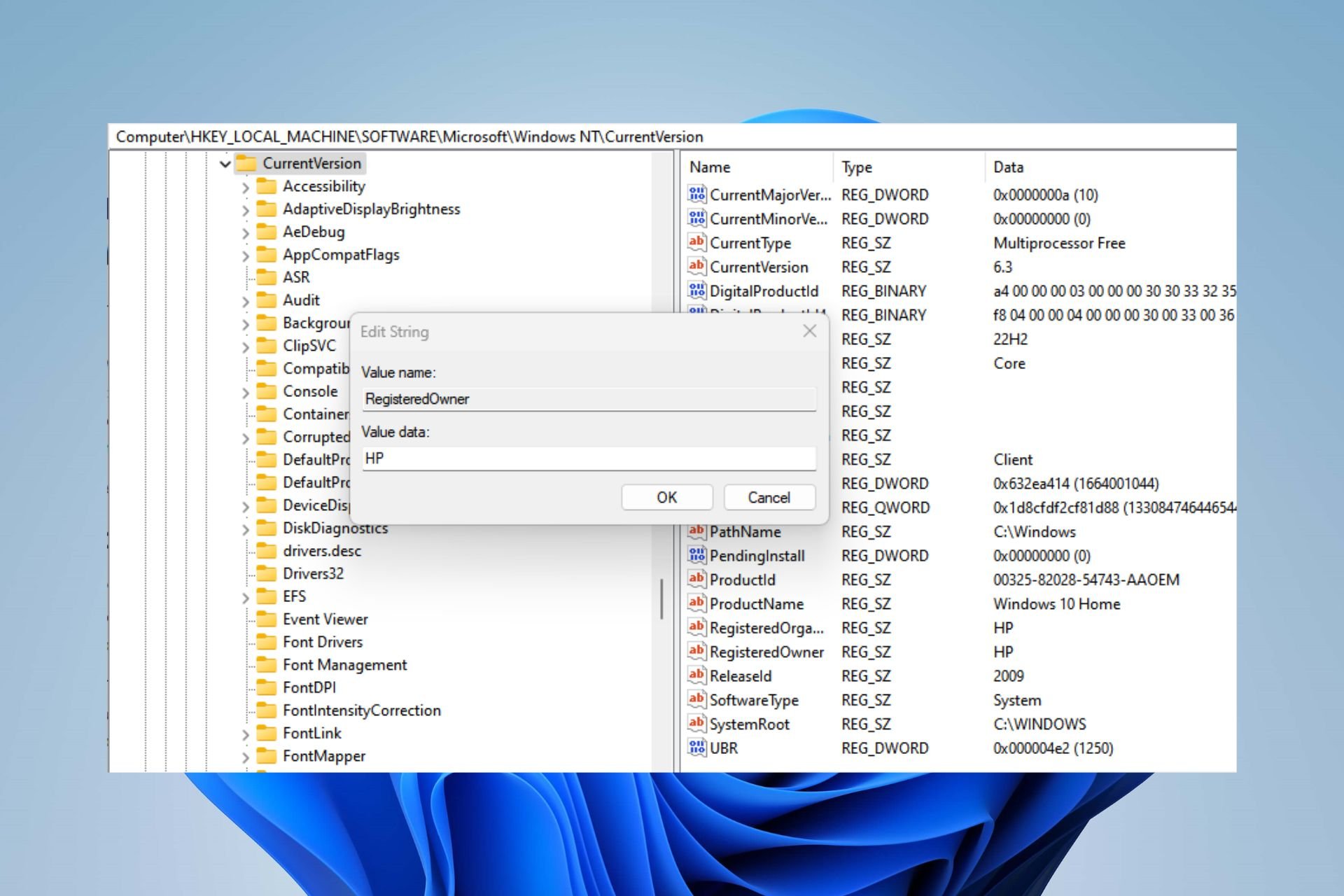windows 11 change owner
