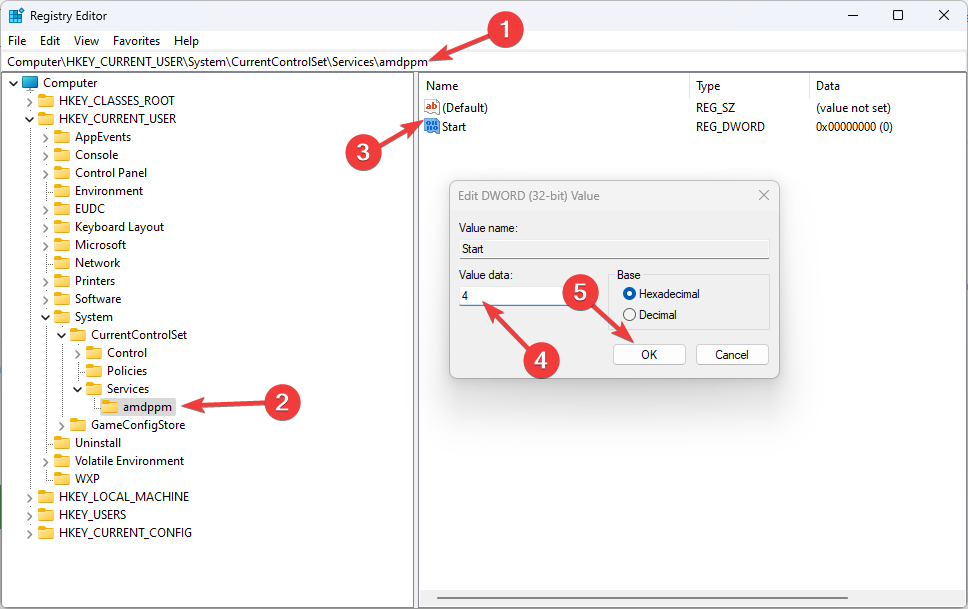 Value data amdppm.sys