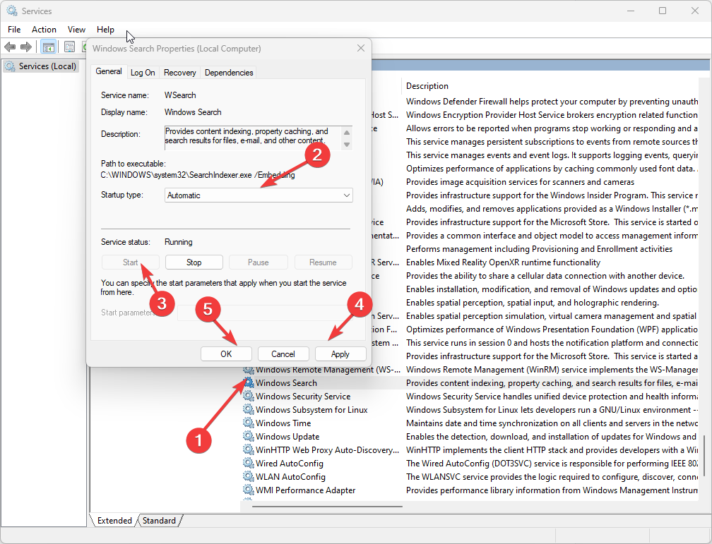 Windows search