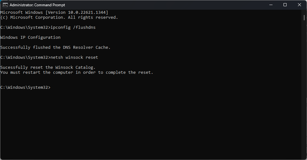 Flush DNS Setup could not download the file
