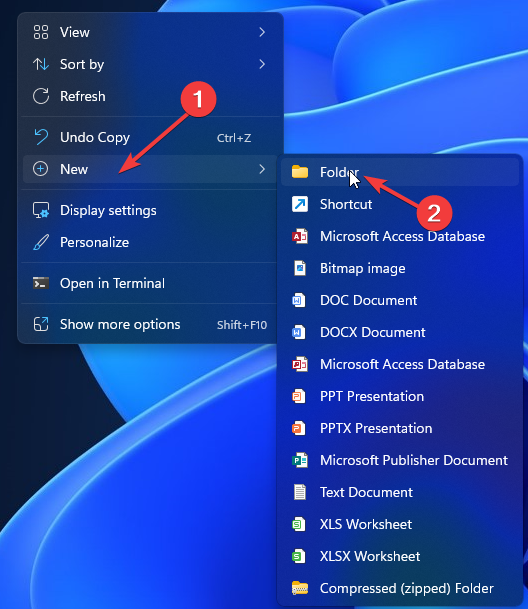 New folder Setup could not download the file