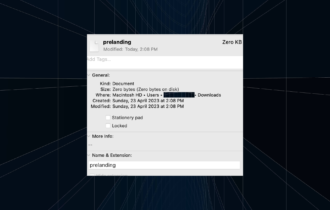 download prelanding File downloaded by itself