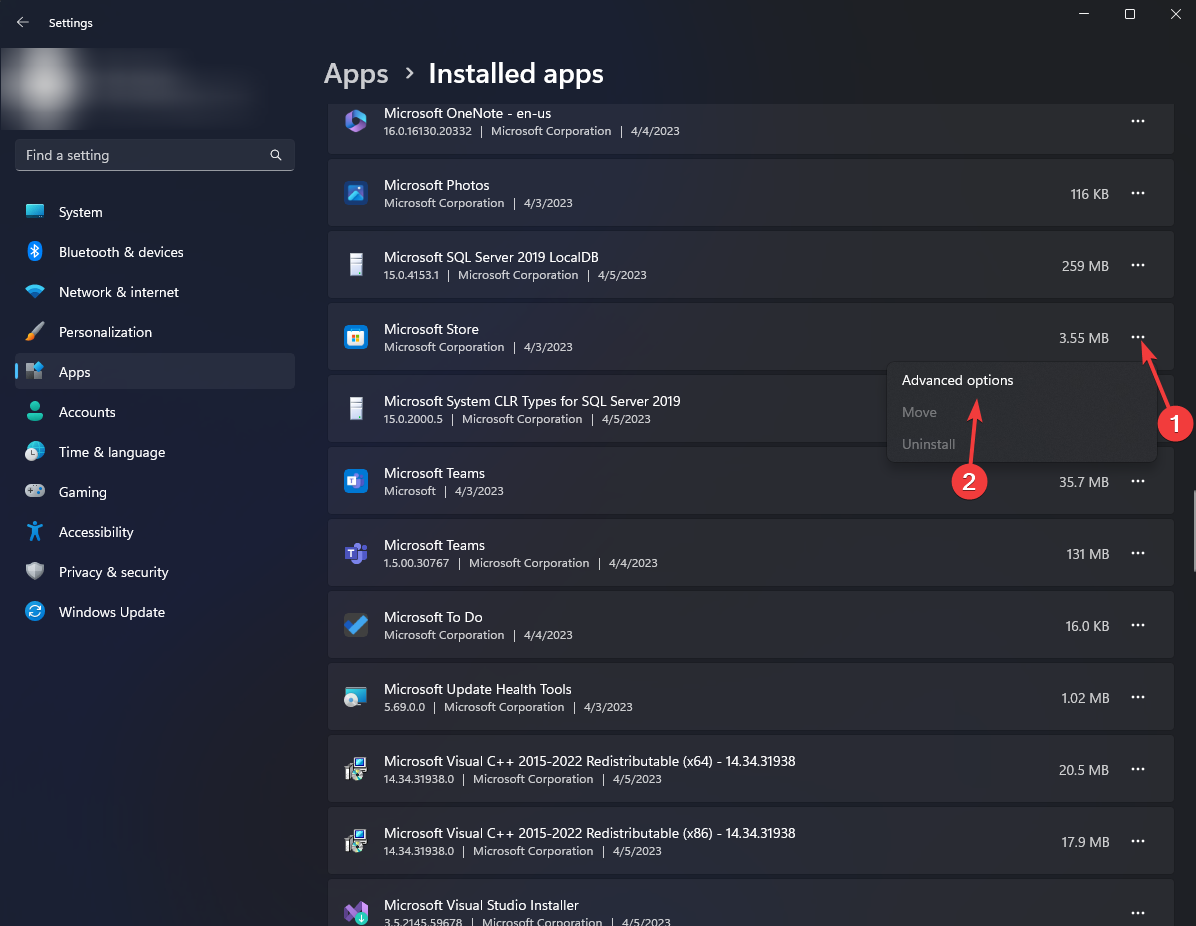 Microsoft Store Advanced options 0x80242020