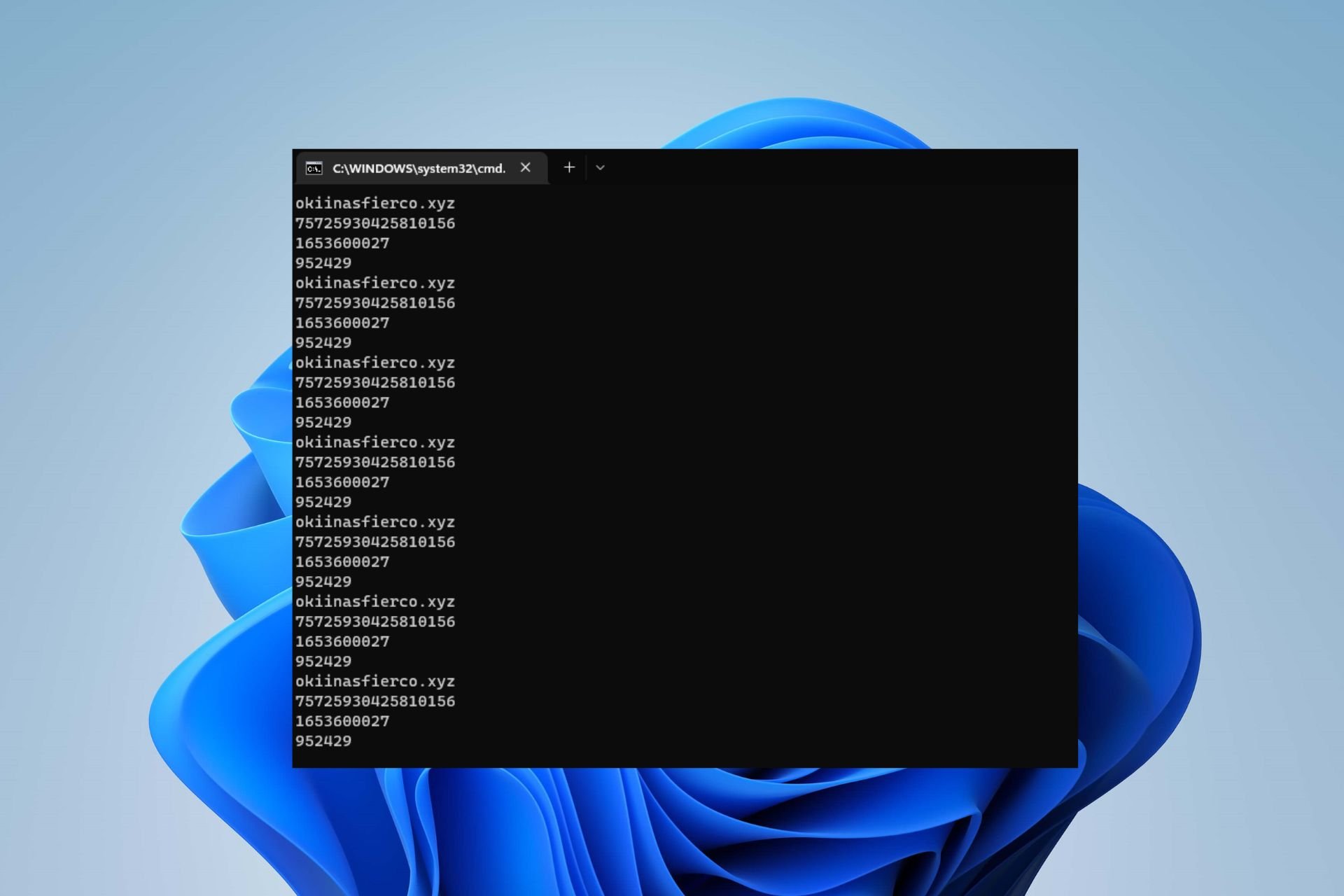 okiinasfierco.xyz command prompt