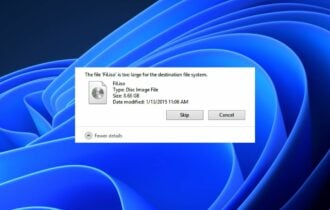 The file is too large for the target file system