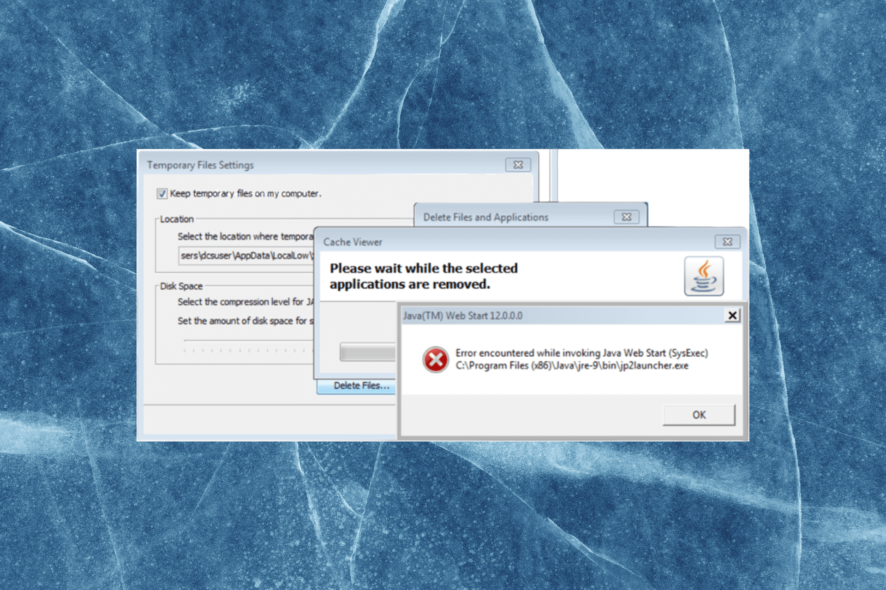 jp2launcher.exe