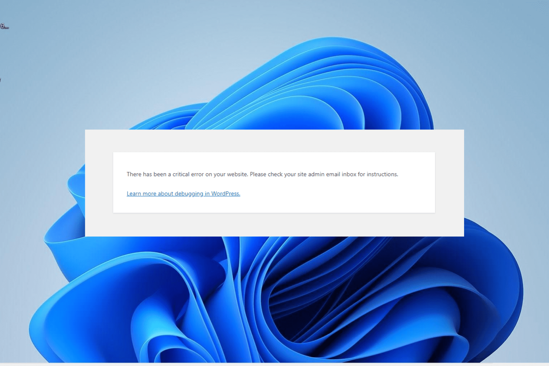 there has been a critical error on your website