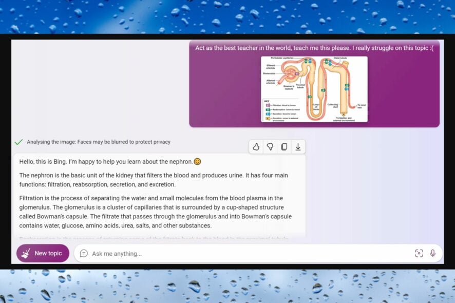 bing visual input