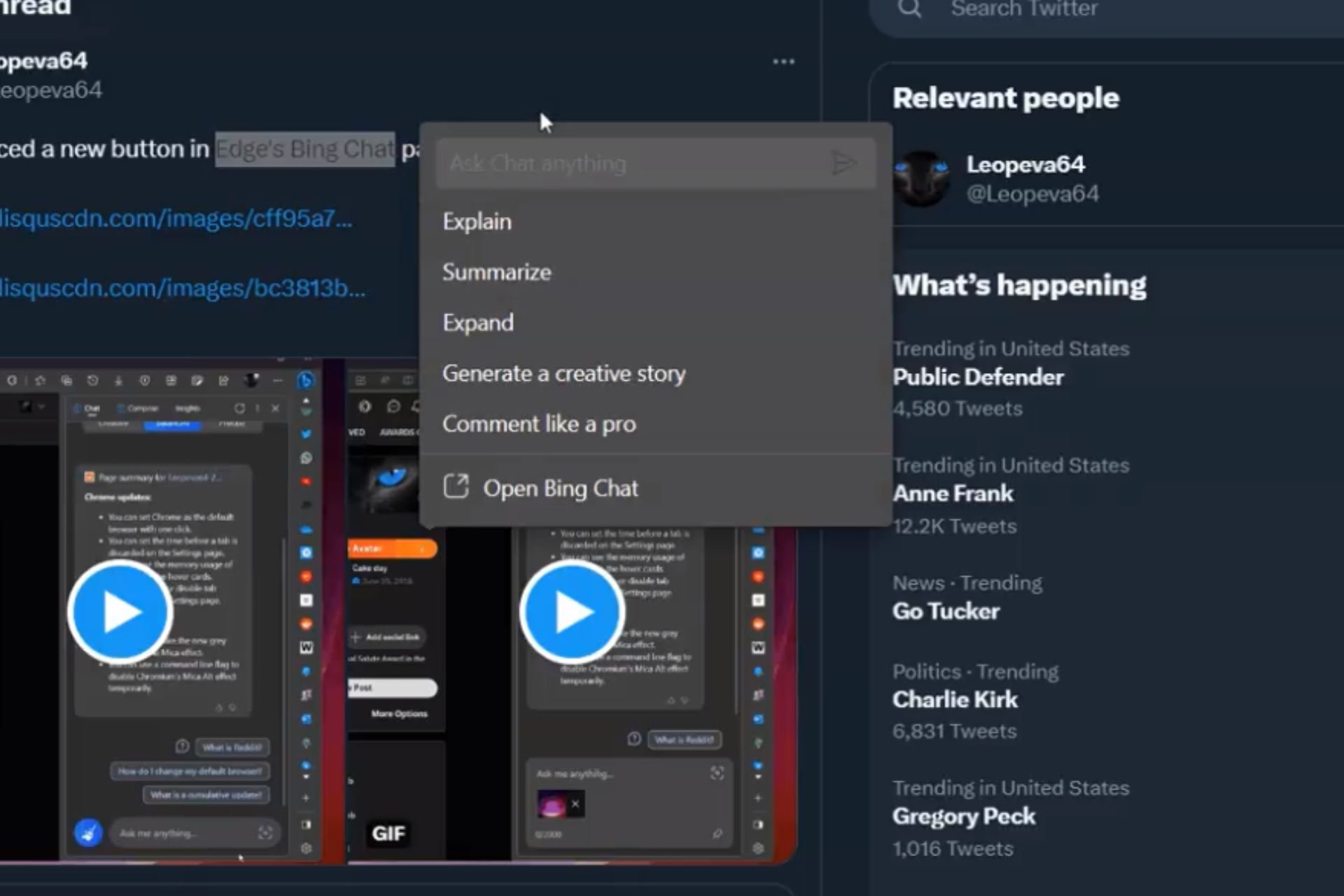 bing visual input