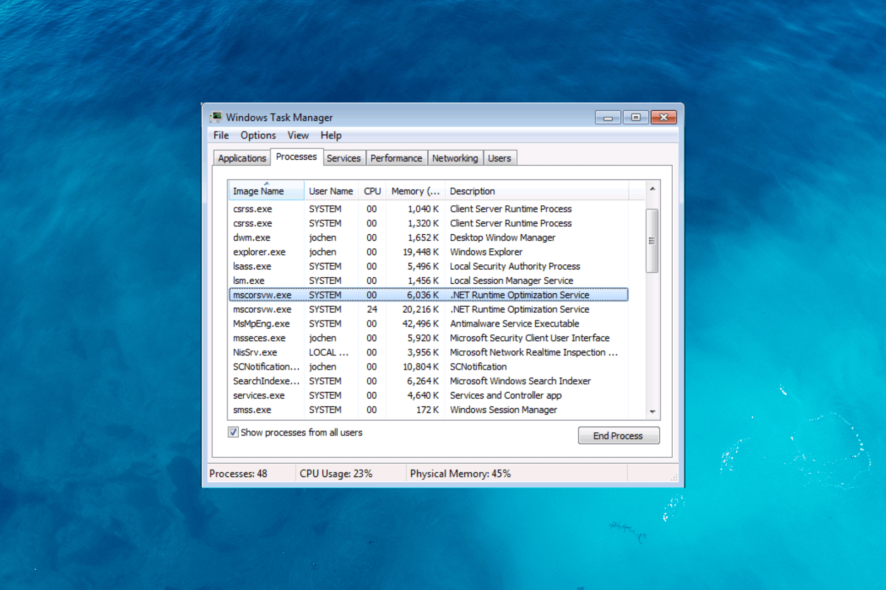 msxcorsvw.exe