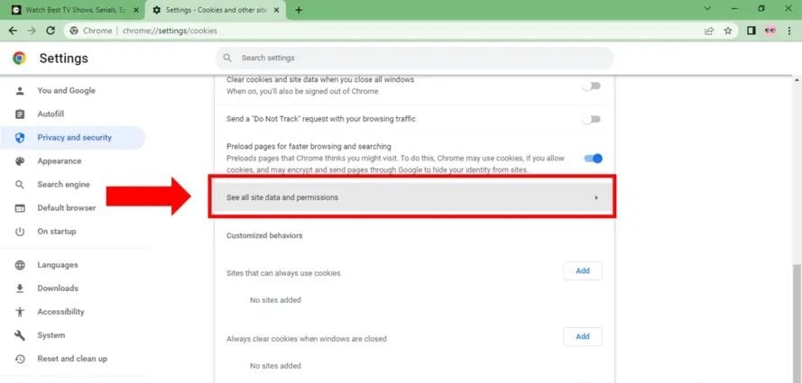 chrome see all site data and permissions