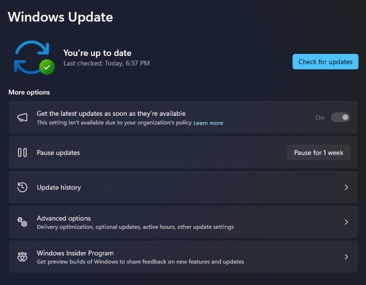 enable optional updates windows 11