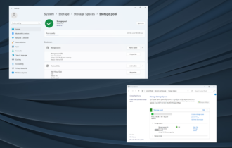 learn how to raid external hard drives in Windows 11