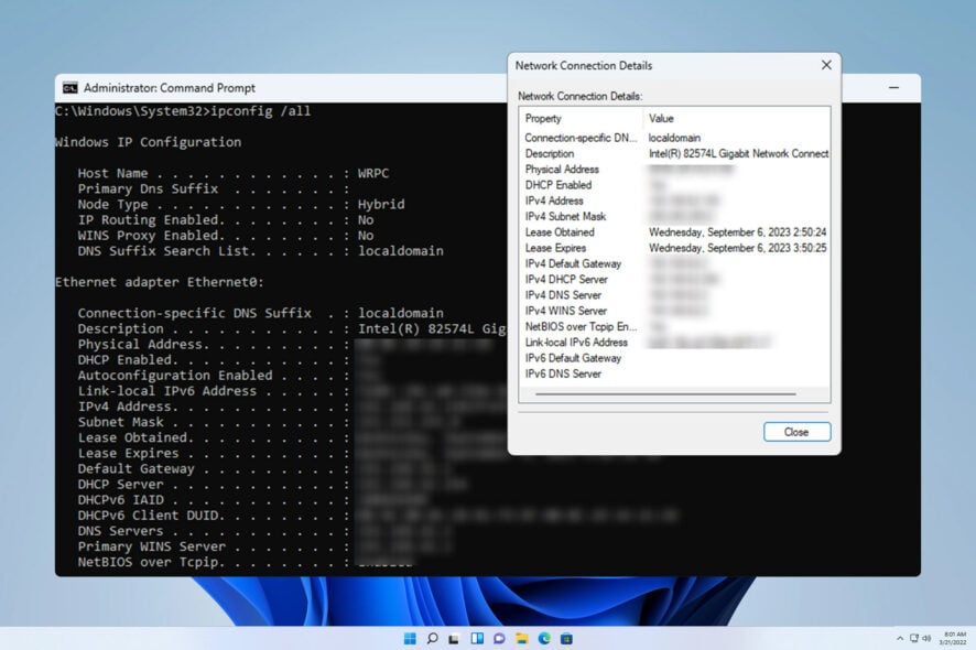 network connection details windows 11