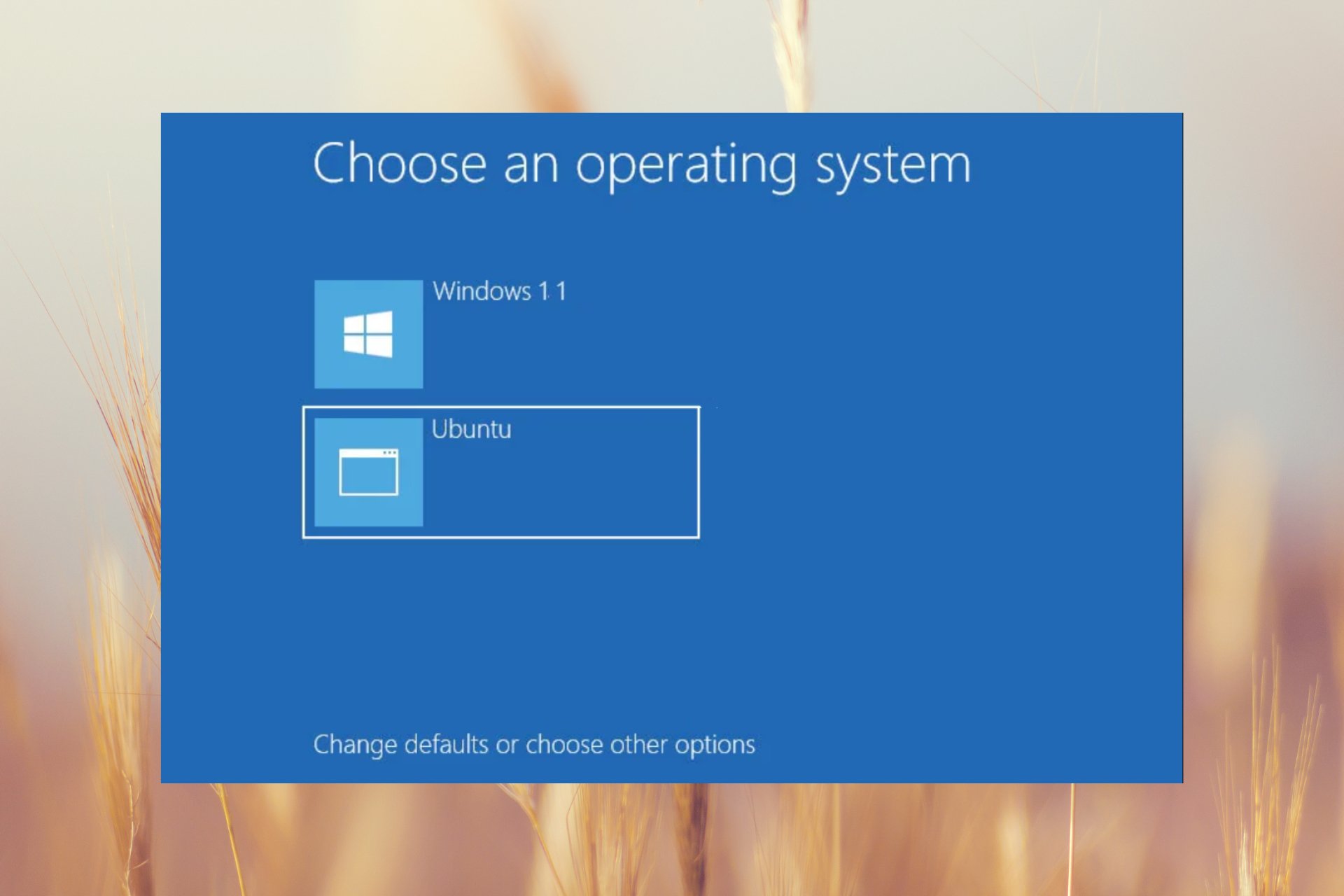 How to Remove Ubuntu From Dual Boot on Windows 11