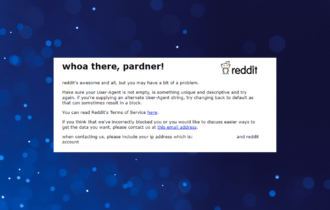 fix Reddit user agent error