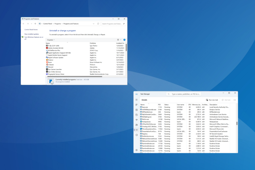 all about sbpfsvc exe