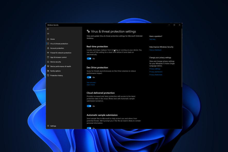 dev drive protection windows 11