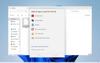 how to open bck file
