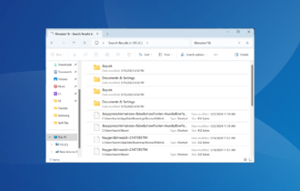 how to search for special characters in windows explorer