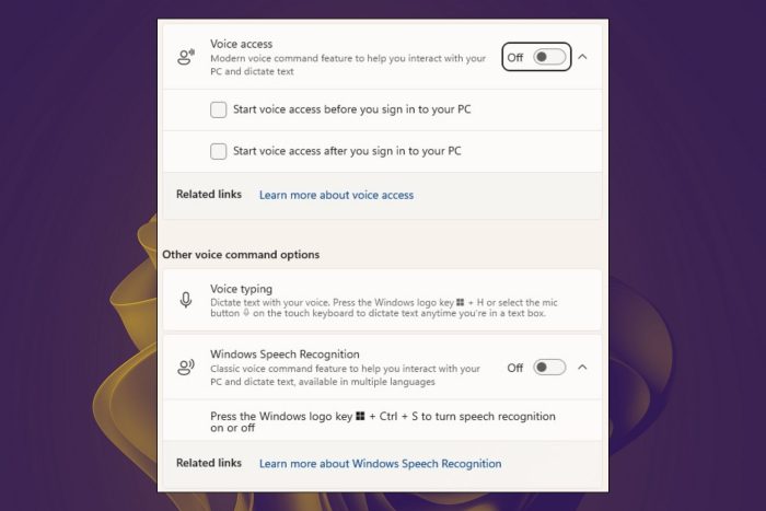 Windows 11 Voice Access and Speech Recognition options