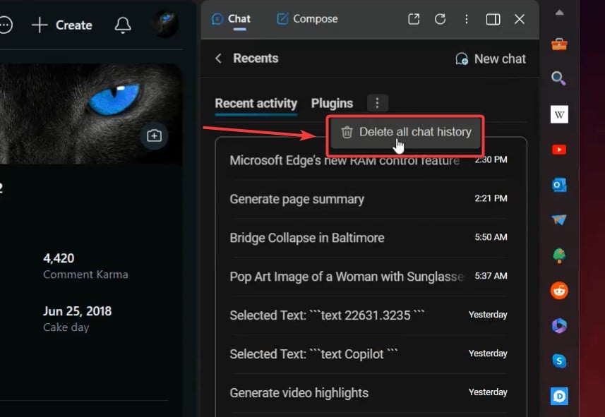 edge copilot chat history
