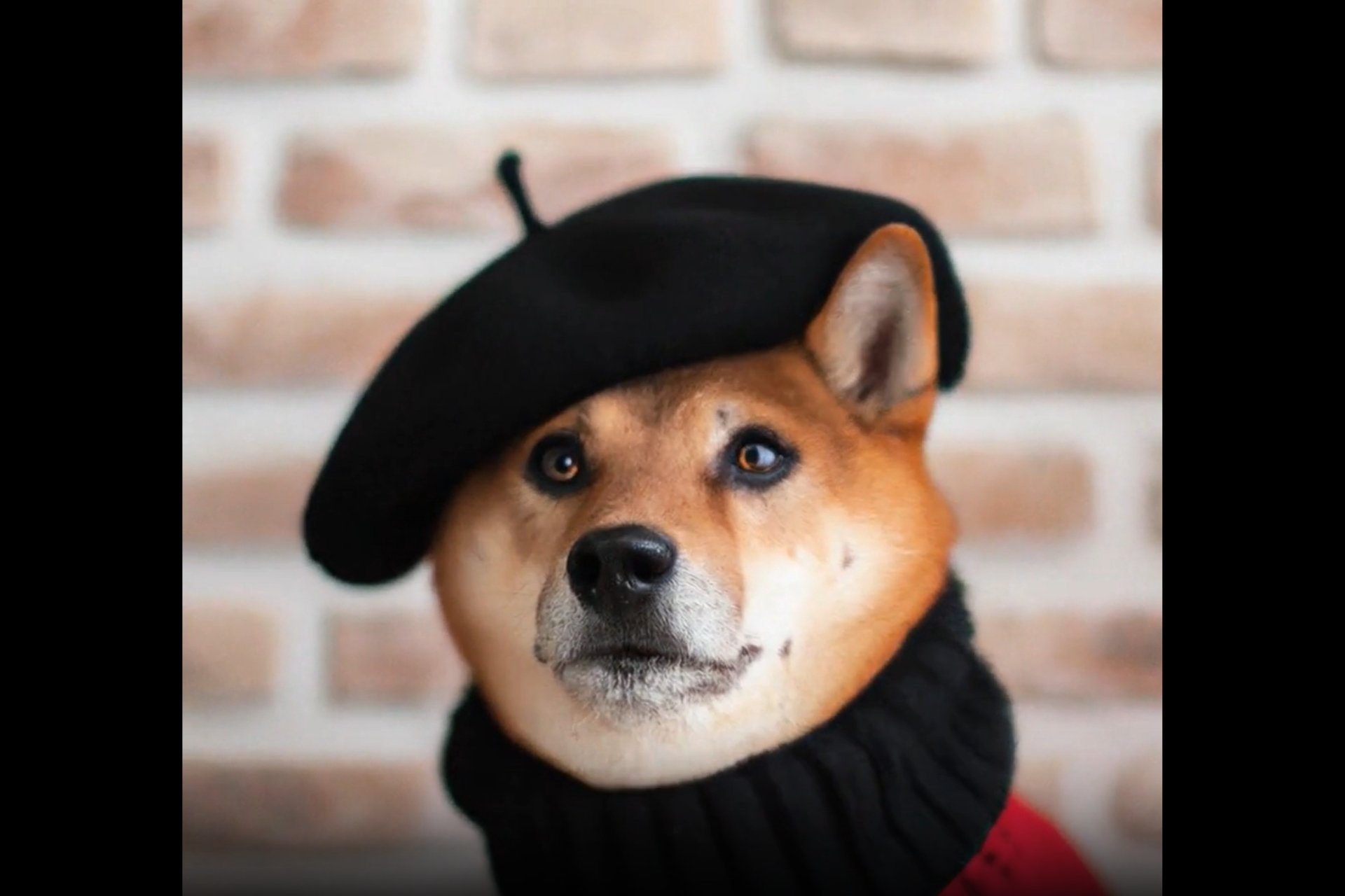 Sora AI needs a lot of GPUs to generate as much video as TikTok and YouTube
