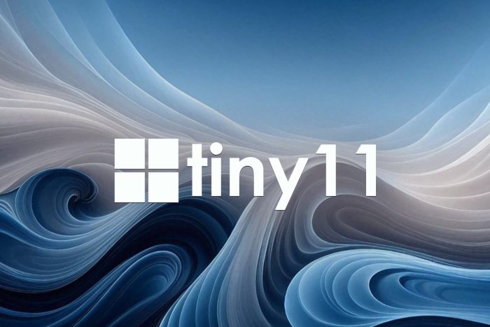 tiny11 builder telemetry
