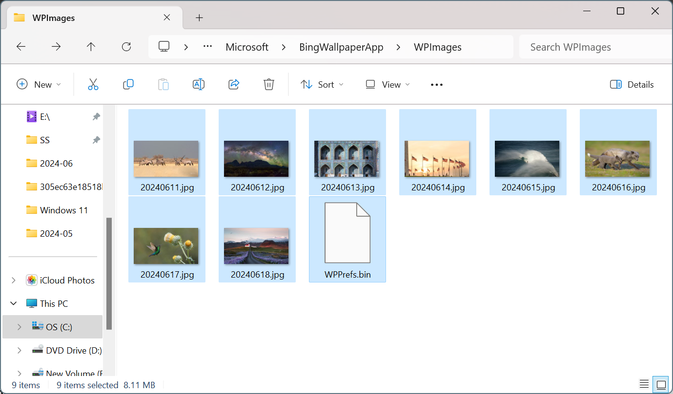 delete Bing Wallpaper cache