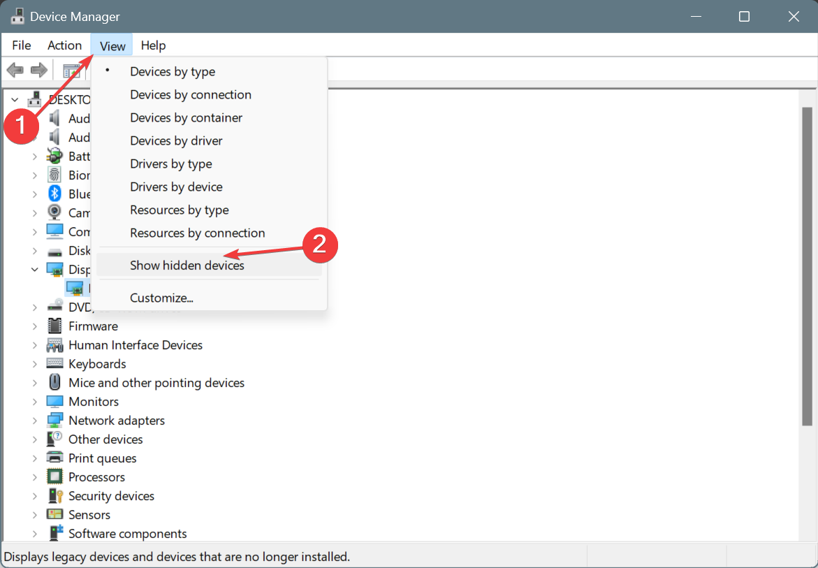 show hidden devices in device manage