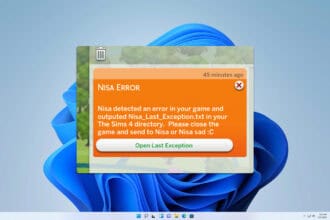 nisa error sims 4