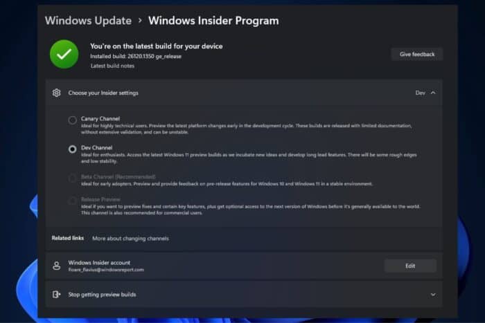 Windows 11 Dev Canary