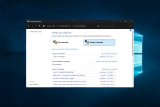 How to view saved passwords in Windows 10