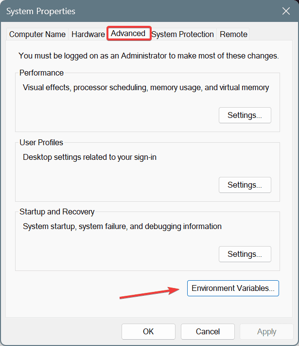 environment variable