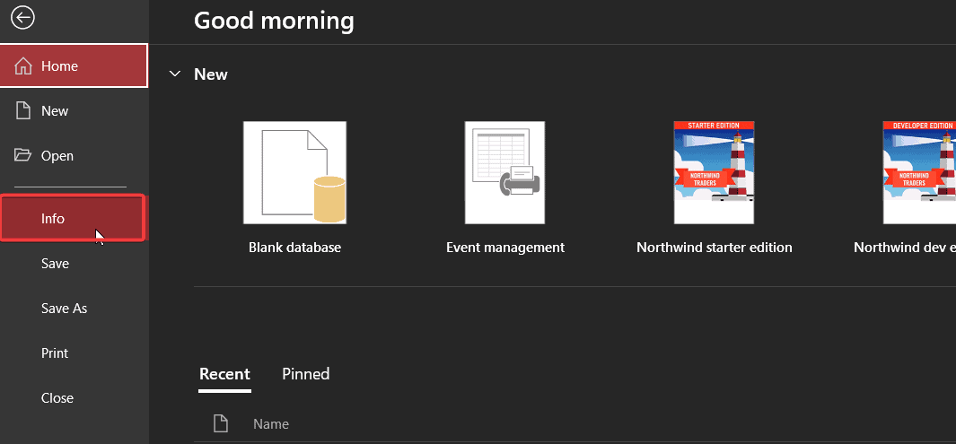 microsoft access info