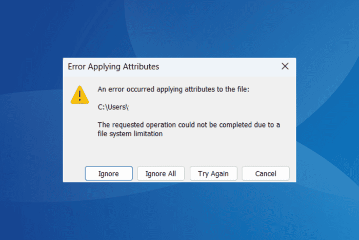 ERROR_FILE_SYSTEM_LIMITATION