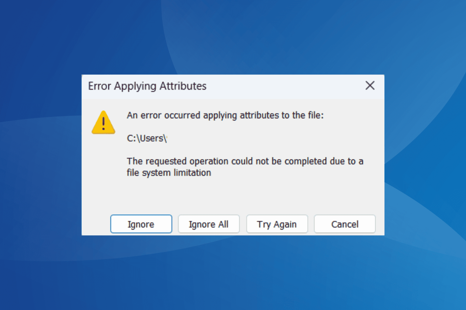 ERROR_FILE_SYSTEM_LIMITATION