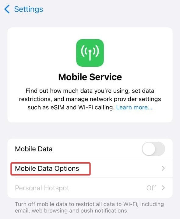 mobile data options