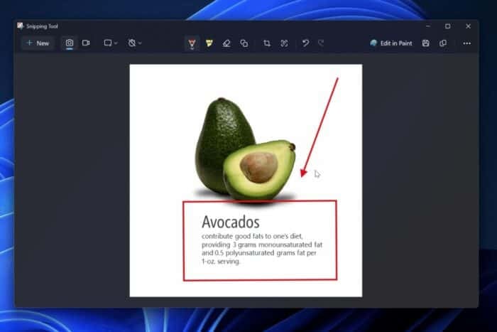 Snipping Tool Draw & Hold