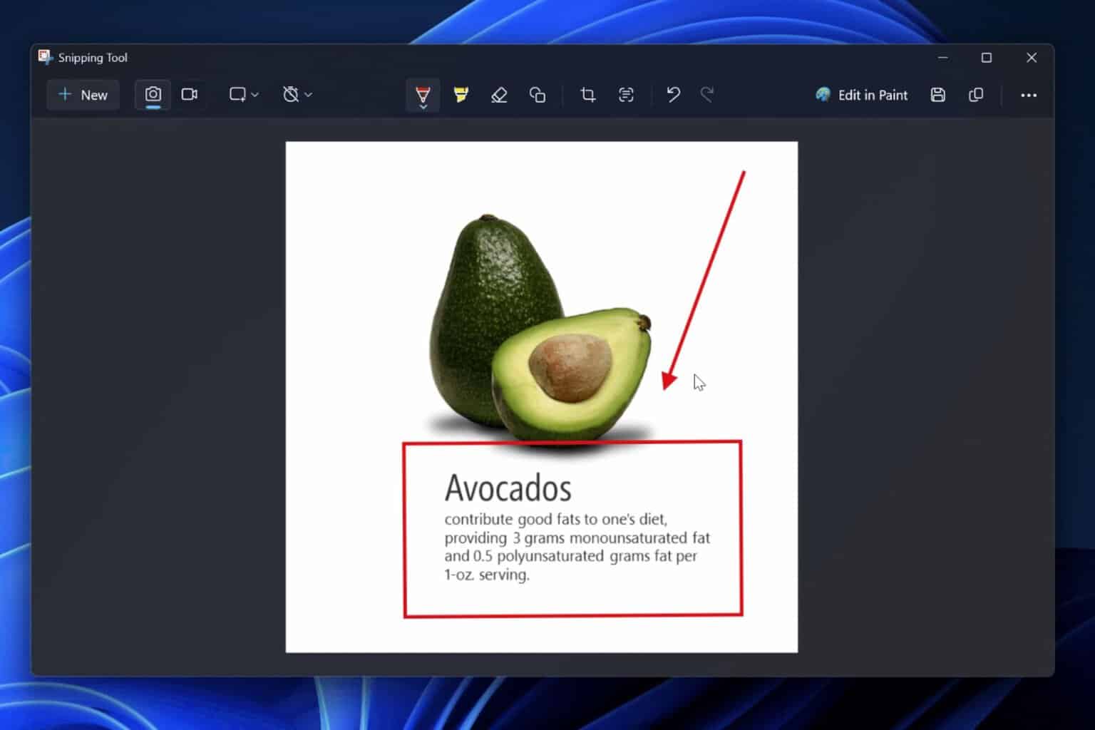 Snipping Tool Draw & Hold