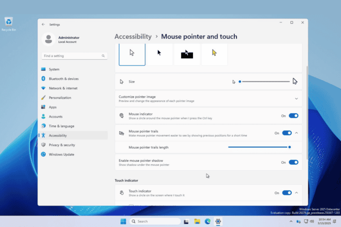 Microsoft brought more Mouse pointer and touch options in Settings
