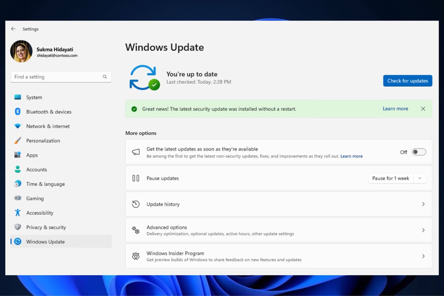 Windows 11 Hotpatch