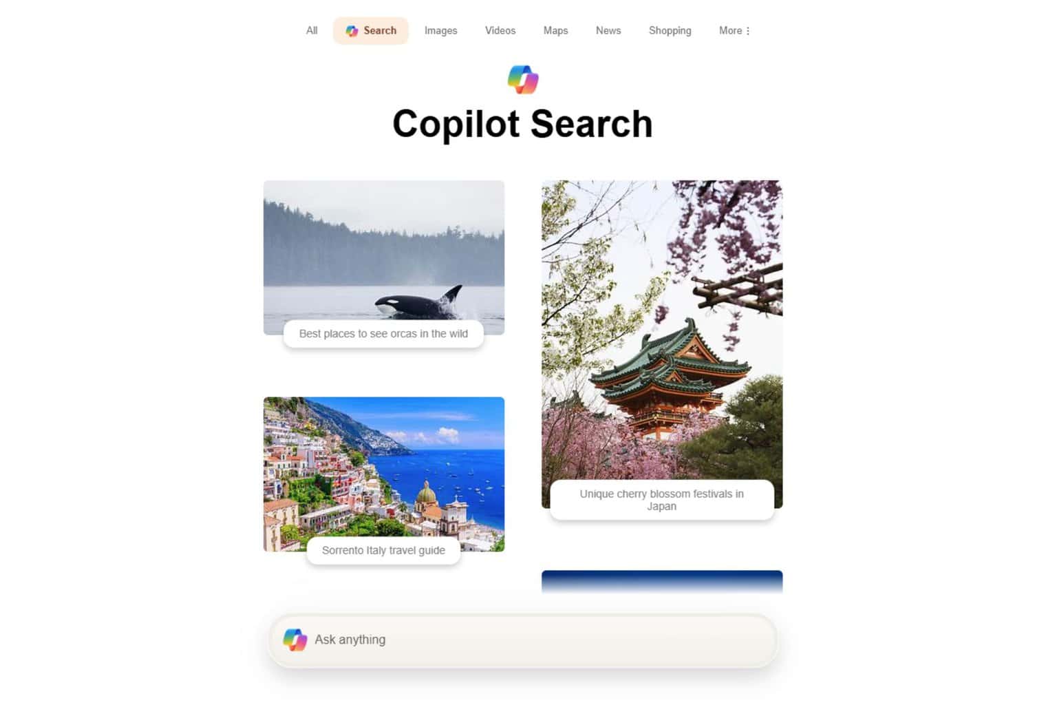 Microsoft Copilot Search