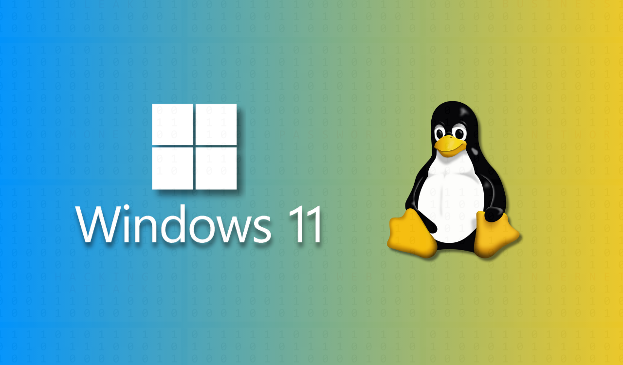 Windows 11 Linux dual boot