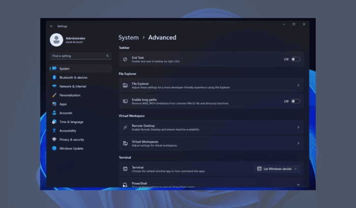 Windows 11 advanced settings page feature banner