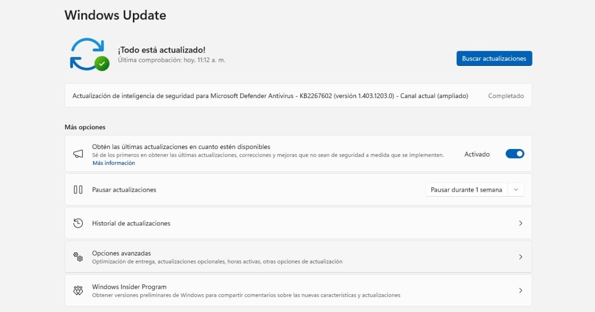 opciones avanzadas actualizacion